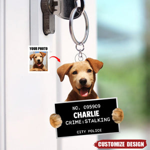 Upload Photo - Personalized Dog&Cat Personal Stalker Acrylic Keychain