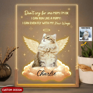 You Left Paw Prints On My Heart - Memorial Personalized Photo 3D LED Night Light