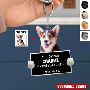 Upload Photo - Personalized Dog&Cat Personal Stalker Acrylic Keychain