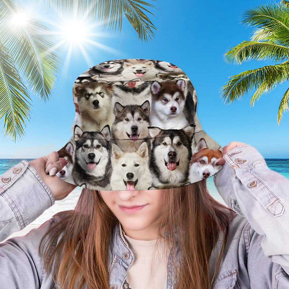 A Bunch Of Alaskan Malamutes Bucket Hat