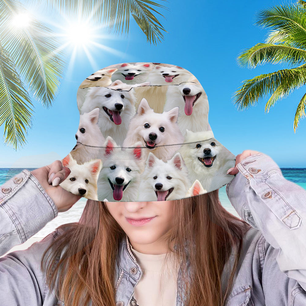 A Bunch Of American Eskimos Bucket Hat