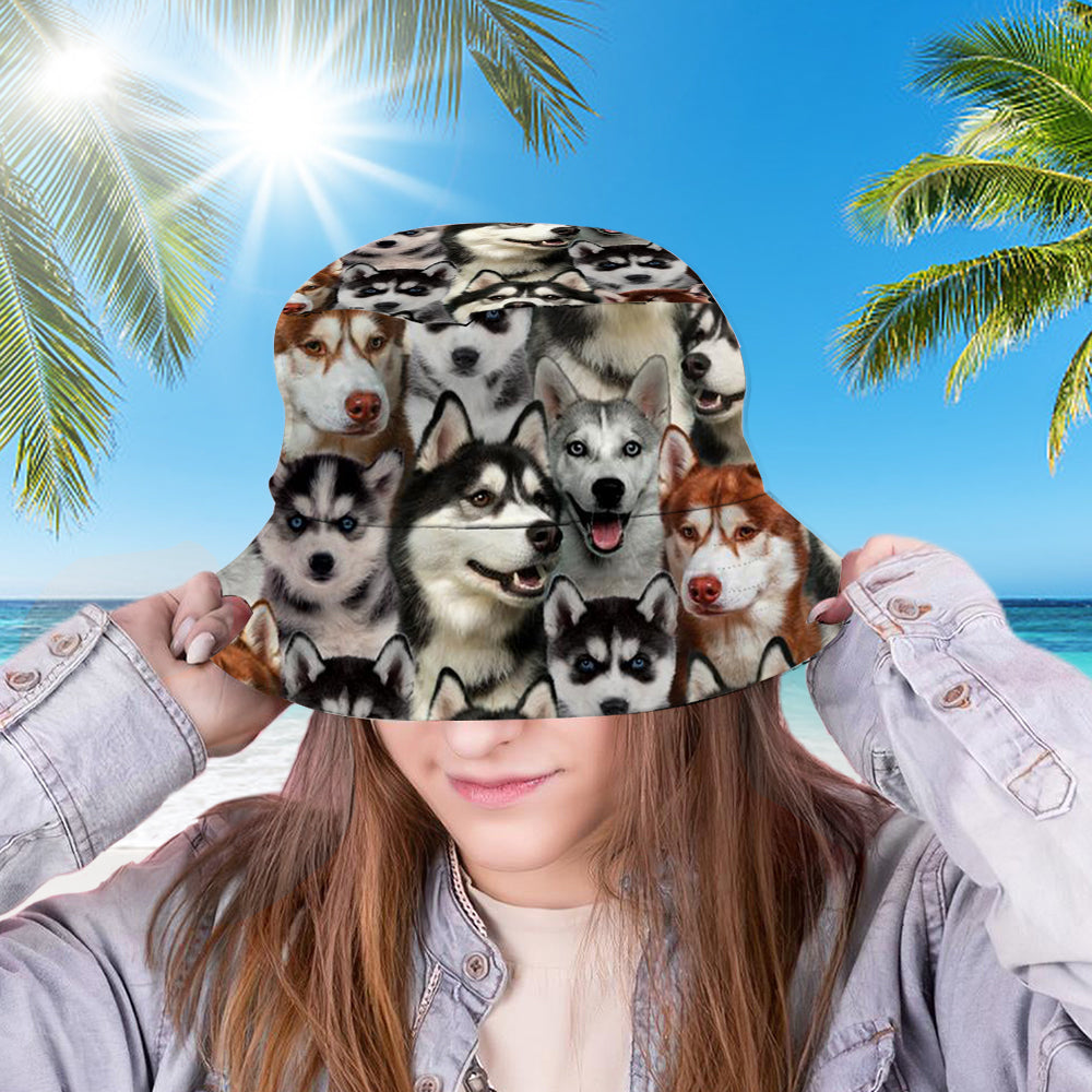 A Bunch Of Huskies Bucket Hat