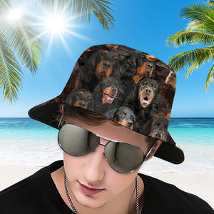 A Bunch Of gordon setter Bucket Hat