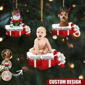 Personalized Animal And Human In Red Gift Box Christmas Ornament