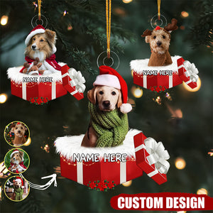 Personalized Animal And Human In Red Gift Box Christmas Ornament