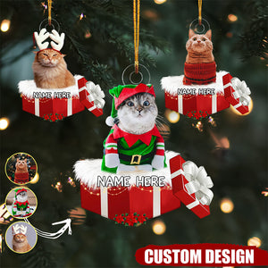 Personalized Animal And Human In Red Gift Box Christmas Ornament