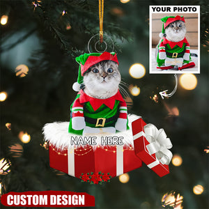 Personalized Animal And Human In Red Gift Box Christmas Ornament