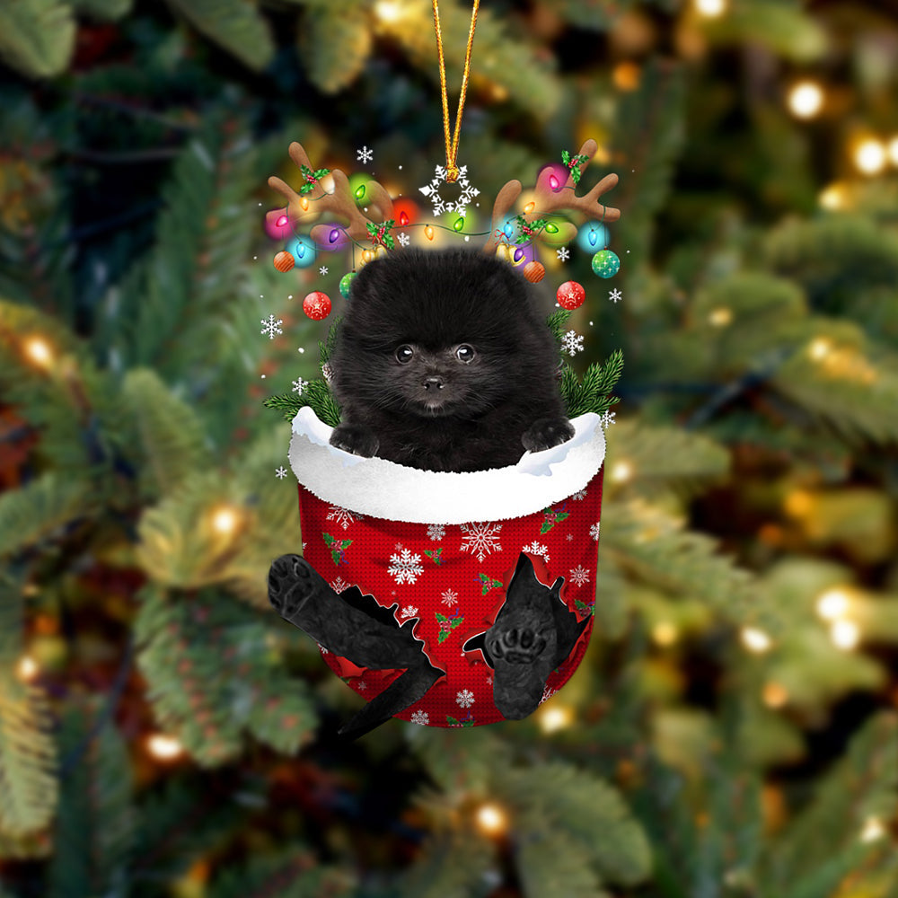 BLACK Pomeranian In Snow Pocket Christmas Ornament