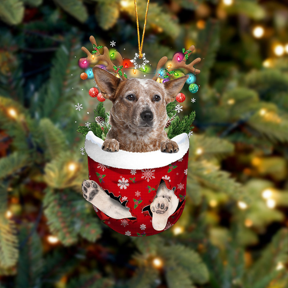 RED Heeler In Snow Pocket Christmas Ornament