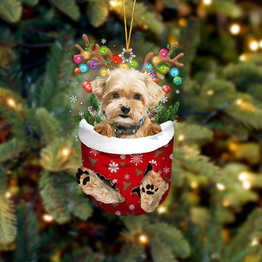 Shorkie In Snow Pocket Christmas Ornament