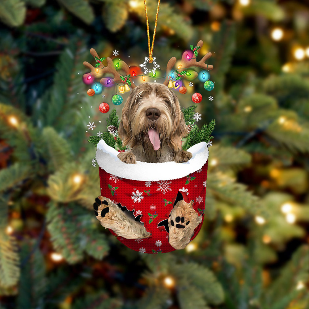 Spinone Italiano In Snow Pocket Christmas Ornament